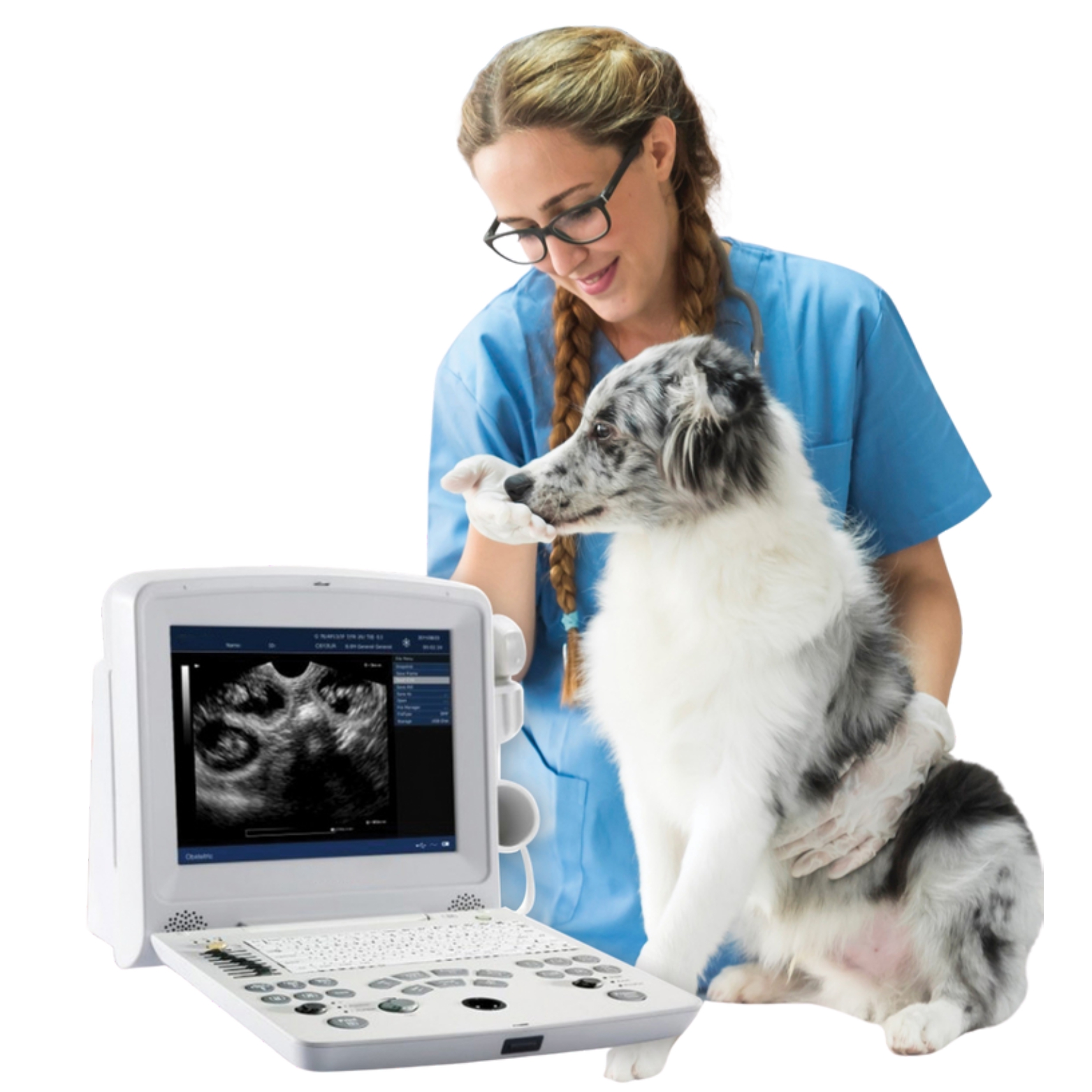Veterinary Digital Ultrasonic Diagnostic Imaging System Manufacturers in Ahmedabad